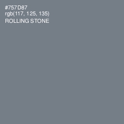 #757D87 - Rolling Stone Color Image